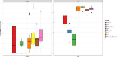 In silico metatranscriptomic approach for tracking biofilm-related effectors in dairies and its importance for improving food safety